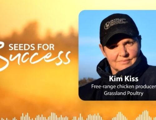 Growing meat chickens – Seeds for Success podcast