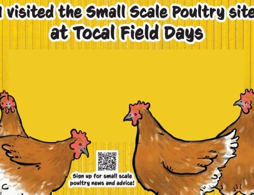 Visit us at Tocal Field Days 2026!