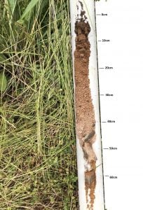 Caniambo soil core