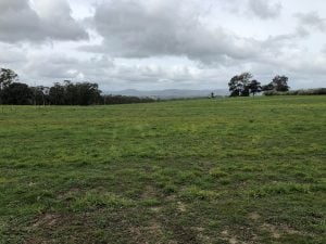 Strathbogie paddock