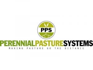 Perennial pasture systems - making pasture go the distance