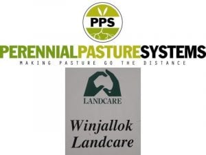 Perennial pasture systems - making pasture go the distance. Winjallock Landcare.