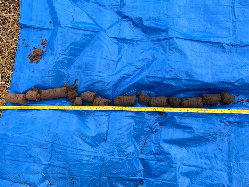 Soil core from the Birchip paddock, which highlights a gradual change in soil characteristics down the profile.
