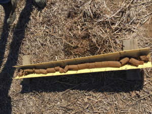Soil core from the Sheep Hill paddock, which highlights a gradual change in soil characteristics down the profile.
