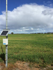 Weather station and telemetry unit of the Sheep Hill soil moisture site located on the fence line between two paddocks.