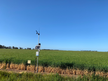 Weather station and telemetry unit of the Wallup soil moisture monitoring site located on the fence line between two paddocks.