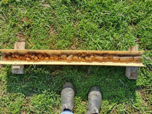 Soil core from the Harrow paddock, which highlights a gradual change in soil characteristics down the profile.