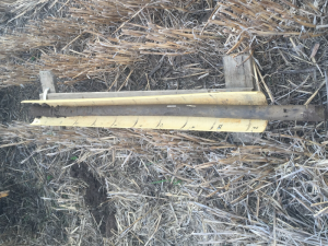 Soil core from the Hamilton paddock, which highlights a gradual change in soil characteristics down the profile.
