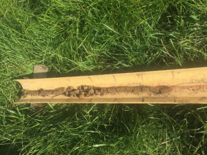 Soil core from the Longwarry paddock, which highlights a gradual change in soil characteristics down the profile.