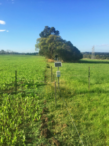 Weather station and telemetry unit of the Longwarry soil moisture monitoring site located on the fence line between two paddocks.