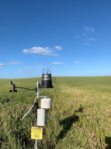 Weather station and telemetry until of the Ouyen soil moisture monitoring site is located in the middle of the paddock, which provides problems with weed management and machinery.