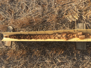 Soil core from the Ouyen paddock, which highlights a gradual change in soil characteristics down the profile.