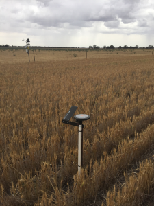 Weather station and telemetry unit of the Raywood soil moisture monitoring site located on the fence line between two paddocks.