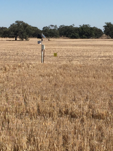 Weather station and telemetry unit of the Sheep Hills soil moisture site located at the edge of the paddock.