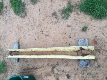 Soil core from the Charlton paddock, which highlights the gradual change in soil characteristics down the profile.