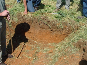Soil pit at the Kerang site highlighting the difference in soil characteristics down the profile.
