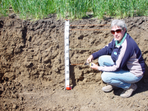 Agriculture Victoria researcher Mel Cann highlighting the different soil horizons at the Kerang site.