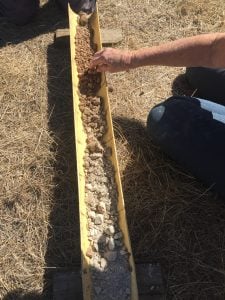Soil core from the Paradise site.