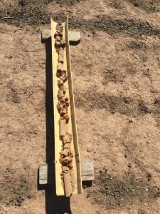 Soil core from the Tottington site.