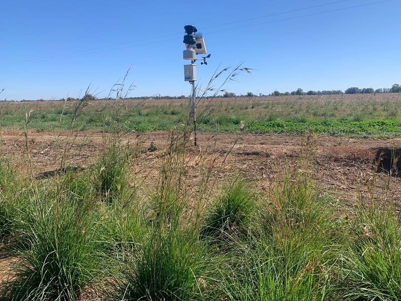 Soil moisture probe in paddock with Kangaroo Grass