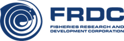 Trawl Network Fishing Innovation