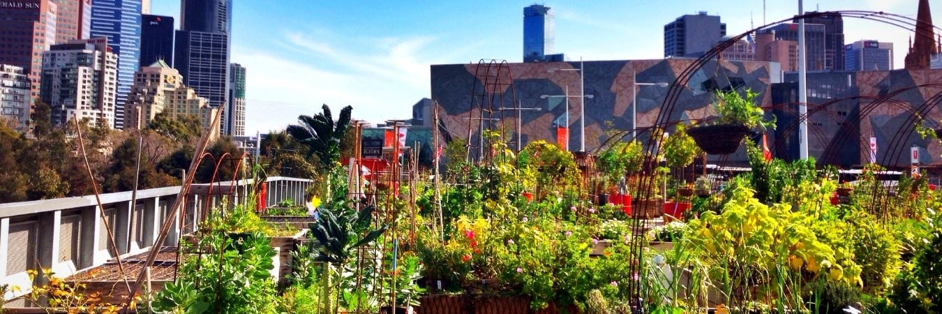 Community garden in Melbourne