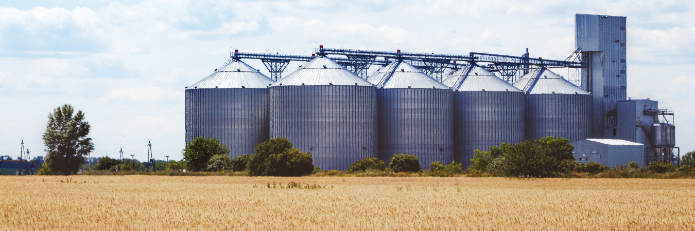 on-farm grain storage