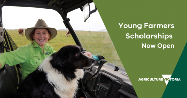 Young women and border collie sit in a farm vehicle. On the right side of the image there is text saying Young Farmers Scholarships Now Open and an Agriculture Victoria Logo