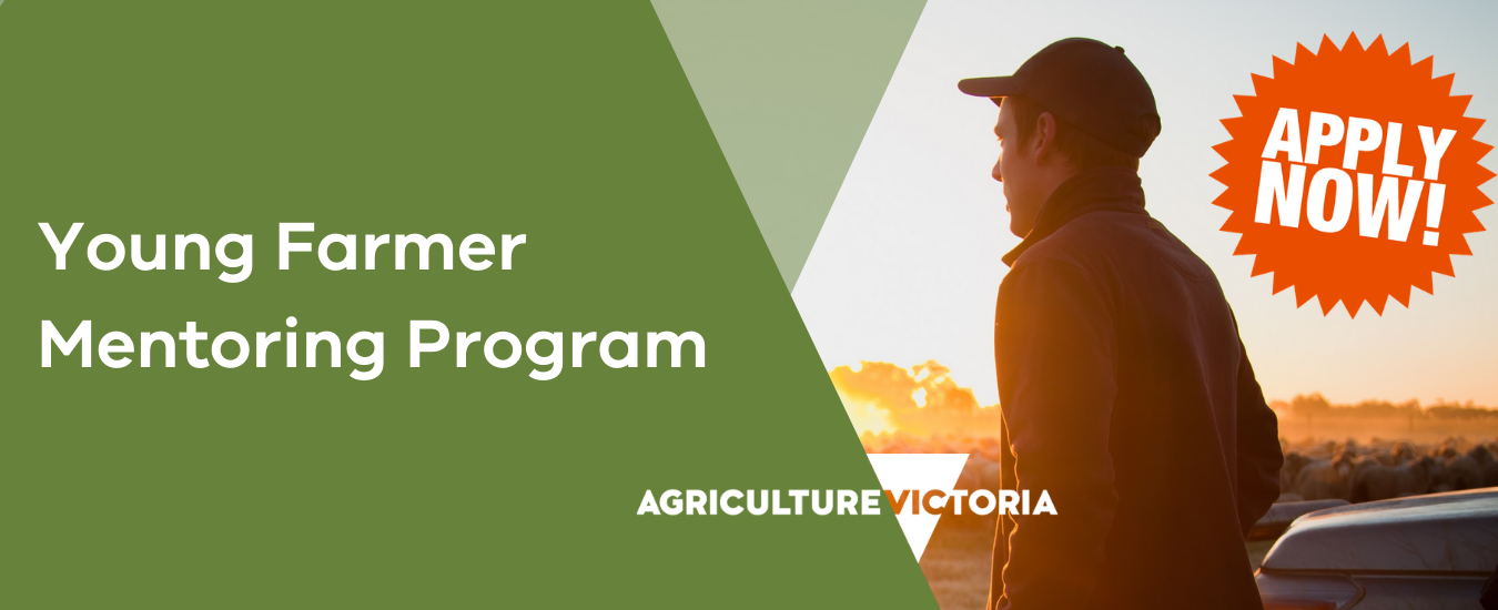 Tittle Young fArmer Mentorng Program Apply Now with image of a young male farmer looking toward horizon