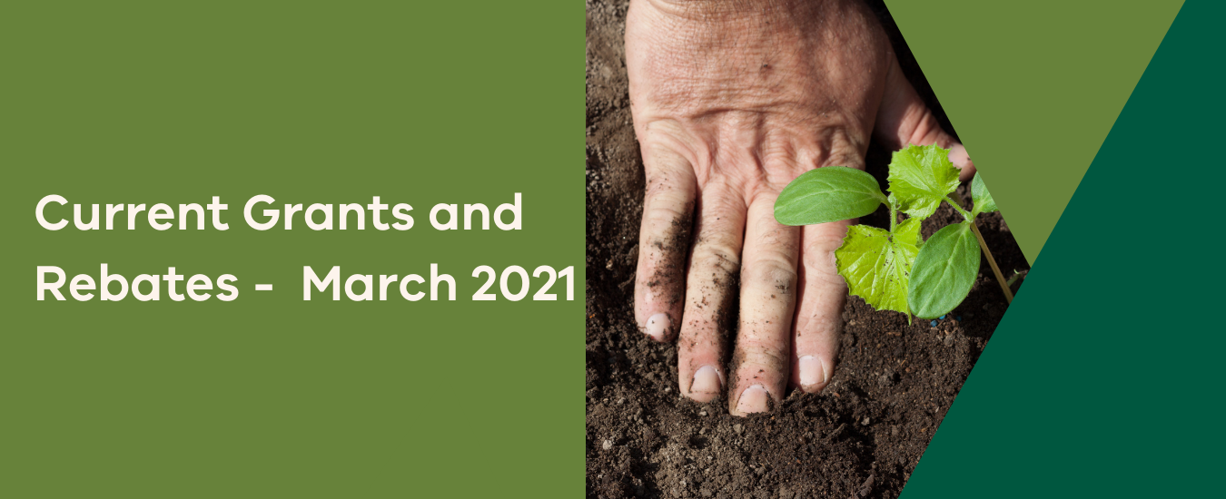 Current grants and rebates - March 2021