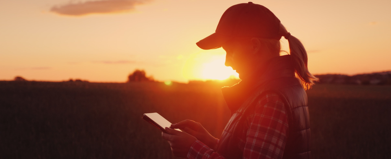 how to write a business plan and review farm performance