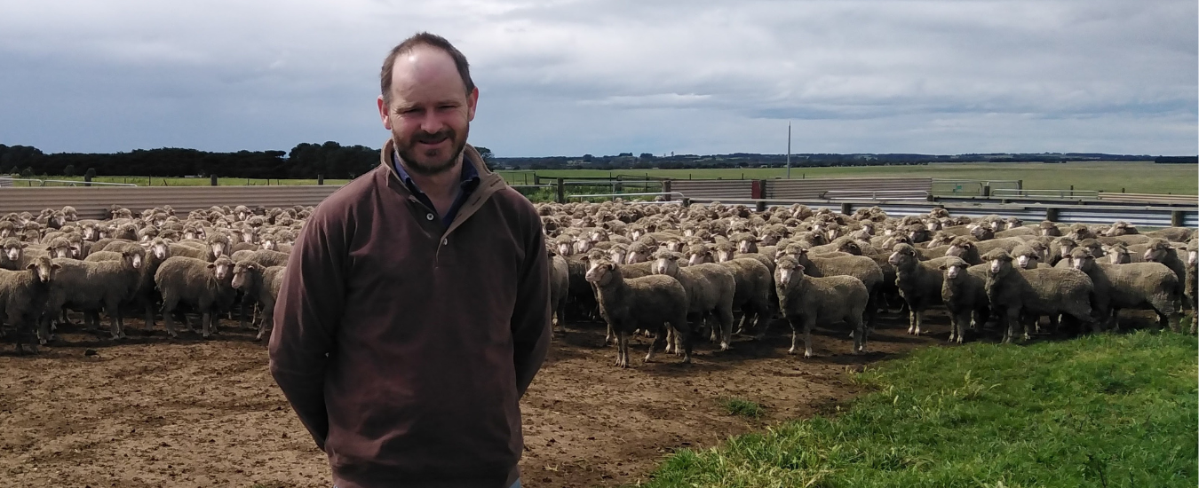 Nick Blandford standing in a pen with sheep behind him
